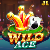 Wild Ace card storm cover art